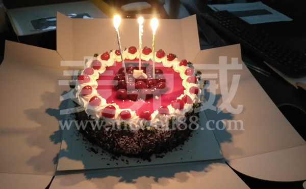 welcome海洋之神通风为员工举办生日派对